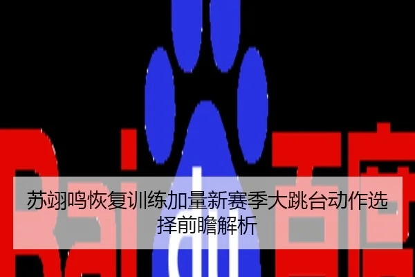苏翊鸣恢复训练加量新赛季大跳台动作选择前瞻解析